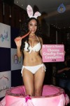 Sofia Hayat Special Photo Shoot - 50 of 59
