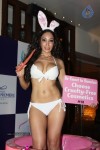 Sofia Hayat Special Photo Shoot - 54 of 59