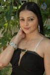 Sonali Jhosi Spicy Stills - 28 of 46