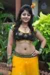 Sonam Singh Spicy Stills - 63 of 66