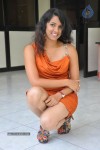 Sravya Reddy Hot Photos - 9 of 64