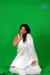 Swathika Spicy Photo Gallery - 20 of 71