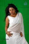 Swathika Spicy Photo Gallery - 66 of 71