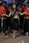 Swetha Basu Prasad New Spicy Stills - 137 of 151