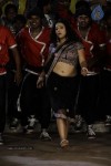 Swetha Basu Prasad New Spicy Stills - 144 of 151