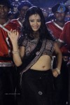 Swetha Basu Prasad New Spicy Stills - 44 of 151