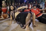 Swetha Basu Prasad New Spicy Stills - 48 of 151