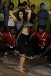 Swetha Basu Prasad New Spicy Stills - 54 of 151