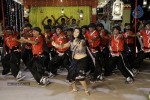 Swetha Basu Prasad New Spicy Stills - 62 of 151