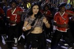 Swetha Basu Prasad New Spicy Stills - 64 of 151