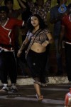 Swetha Basu Prasad New Spicy Stills - 71 of 151