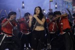 Swetha Basu Prasad New Spicy Stills - 78 of 151