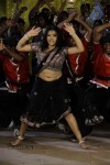 Swetha Basu Prasad New Spicy Stills - 79 of 151