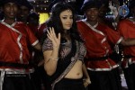 Swetha Basu Prasad New Spicy Stills - 80 of 151