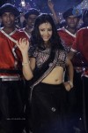 Swetha Basu Prasad New Spicy Stills - 95 of 151