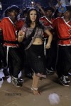 Swetha Basu Prasad New Spicy Stills - 105 of 151