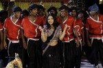 Swetha Basu Prasad New Spicy Stills - 131 of 151