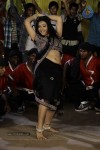 Swetha Basu Prasad New Spicy Stills - 132 of 151