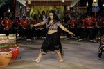 Swetha Basu Prasad New Spicy Stills - 133 of 151