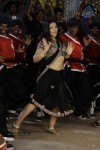 Swetha Basu Prasad New Spicy Stills - 139 of 151