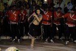 Swetha Basu Prasad New Spicy Stills - 149 of 151