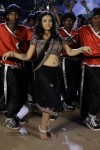 Swetha Basu Prasad New Spicy Stills - 150 of 151