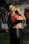 Swetha Basu Prasad Spicy Gallery - 25 of 132