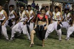 Swetha Basu Prasad Spicy Gallery - 35 of 132