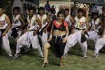 Swetha Basu Prasad Spicy Gallery - 14 of 132