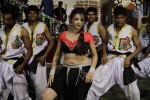 Swetha Basu Prasad Spicy Gallery - 36 of 132