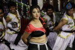 Swetha Basu Prasad Spicy Gallery - 47 of 132