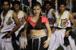 Swetha Basu Prasad Spicy Gallery - 48 of 132