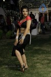 Swetha Basu Prasad Spicy Gallery - 68 of 132