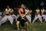 Swetha Basu Prasad Spicy Gallery - 79 of 132