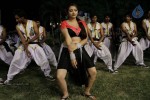 Swetha Basu Prasad Spicy Gallery - 91 of 132