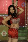 Swethabasu Prasad Spicy Gallery - 173 of 185