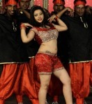 Swetha Basu Prasad Spicy Stills - 2 of 25