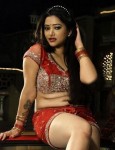 Swetha Basu Prasad Spicy Stills - 36 of 25