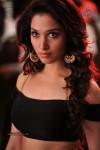 Tamanna New Spicy Stills - 2 of 113