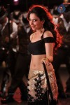 Tamanna New Spicy Stills - 102 of 113