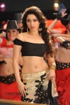 Tamanna New Spicy Stills - 103 of 113