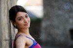 Tamanna Spicy Photos - 1 of 97