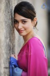 Tamanna Spicy Photos - 5 of 97