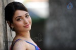 Tamanna Spicy Photos - 10 of 97