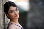 Tamanna Spicy Photos - 15 of 97