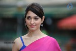 Tamanna Spicy Photos - 21 of 97