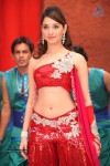 Tamanna Spicy Pics - 8 of 13