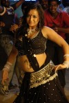 Tanu Roy Hot Gallery - 5 of 90