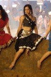 Tanu Roy Hot Gallery - 105 of 90