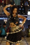 Tanu Roy Hot Gallery - 28 of 90